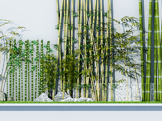 Modern bamboo 3d model