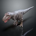 3D T-Rex Dinosaur Model With Open Mouth Standing On Black Background