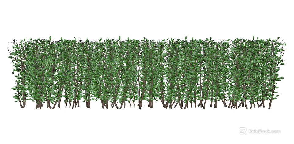 Lush Green Shrub Hedge With Dense Foliage For Garden Landscaping 3d model 