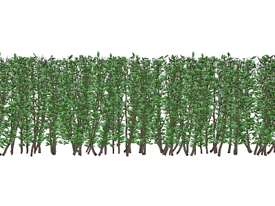 Lush Green Shrub Hedge With Dense Foliage For Garden Landscaping 3d model