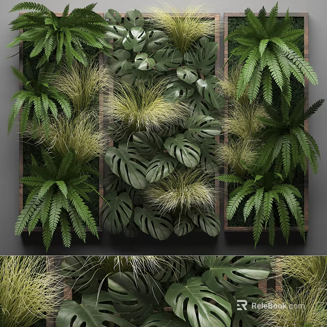 Indoor Green Plant Wall Decoration With Various Ferns And Monstera Leaves 3d model 