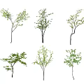 Different Shaped Arbor Trees With Green Foliage And Branch Structures For Decorative Use 3d model