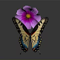 Colorful Butterfly With Yellow Black And Blue Wings Perched On Purple Flower