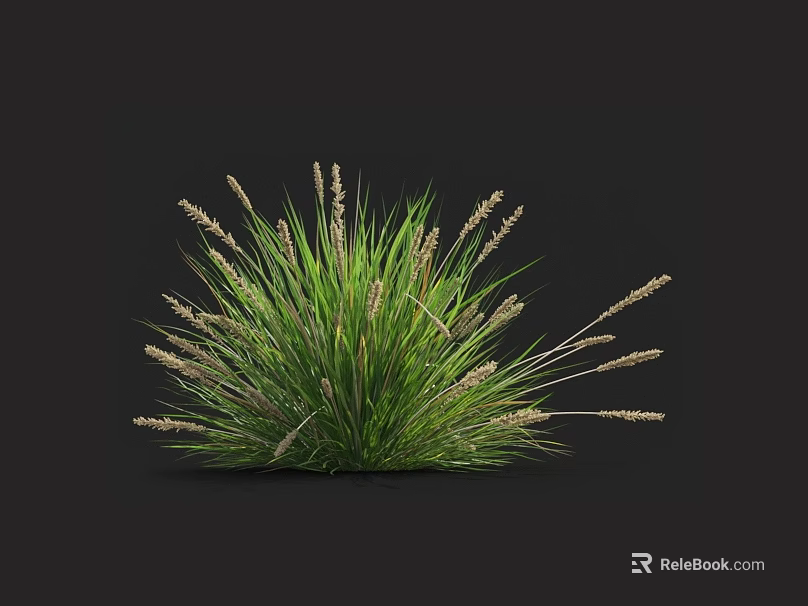 Green Grass With Slender Leaves And Spike Flowers In Circular Shape On Black Background 3d model 