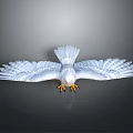 White Eagle With Spread Wings And Yellow Claws On Gray Background