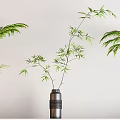 Indoor Bonsai Potted Plants With Green Leaves On White Shelves And Different Pots