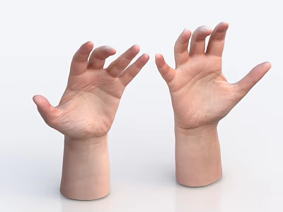 Human Hands With Palms Up In Natural Relaxed Pose On White Background 3d model