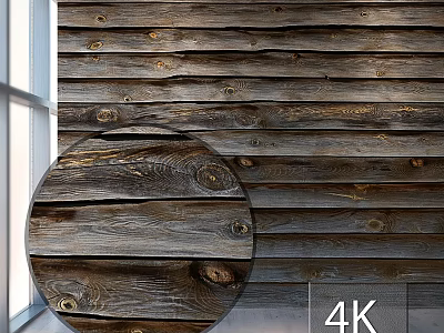 Wooden Wall Panel With Circular Close up Grain Details And 4K Texture 3d model