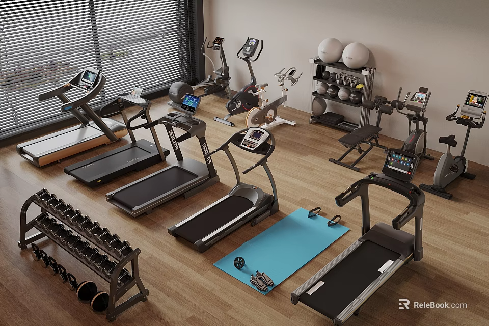 Complete Home Gym Sports Equipment With Treadmills Dumbbells Stationary Bikes Exercise Balls And Yoga Mat 3d model 