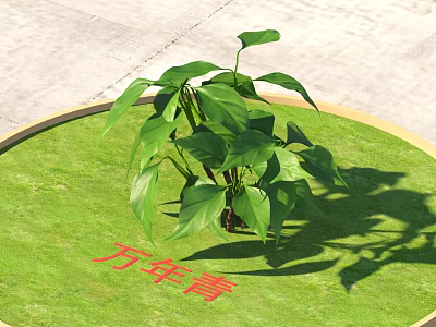 Lush Evergreen Plant With Fresh Green Leaves On Circular Grass Area 3d model