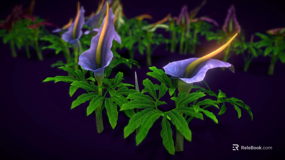 Vibrant Purple Flowers With Yellow Stamens And Green Leaves Against Dark Background 3d model 