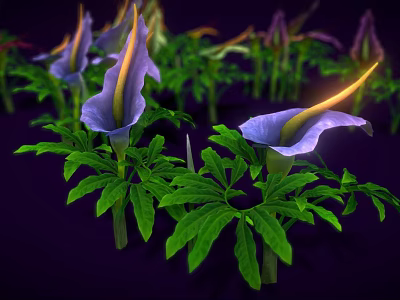 Vibrant Purple Flowers With Yellow Stamens And Green Leaves Against Dark Background 3d model