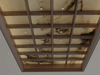 Elegant Ceiling Design With Wooden Frame And Marble Like Panels And Recessed Lights 3d model