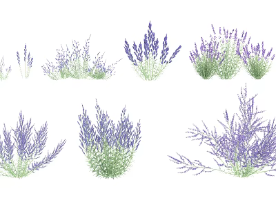 Various Lavender Plants With Purple Flowers And Green Leaves For Garden Decoration 3d model
