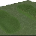 Green Grass Mounds With Yellow And White Flowers In Lush Grassland