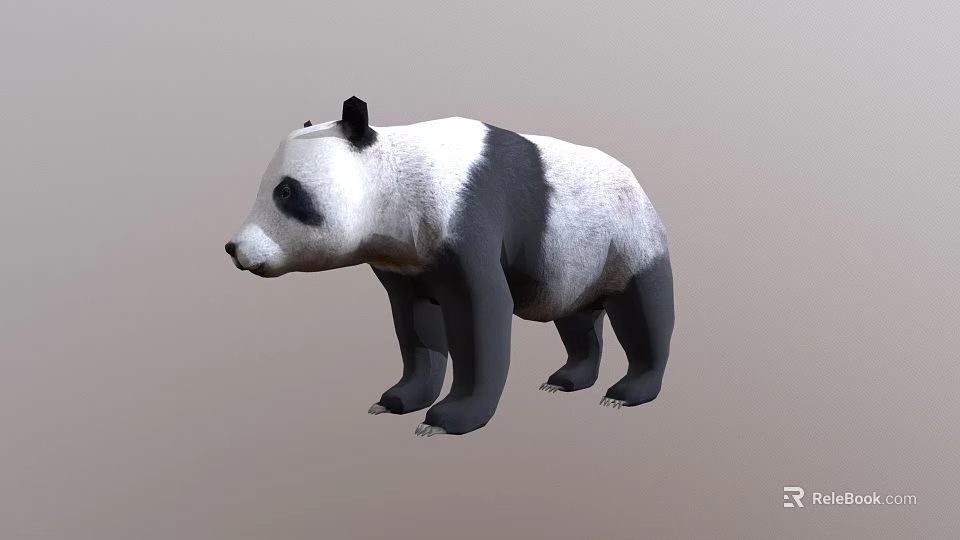 Realistic 3D Model of Standing Black and White Panda Bear in Neutral Gray Background 3d model 