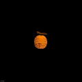 Yellow Honeycomb Shaped Decorative Object With Brown Branch Handle And Bird Beak Opening