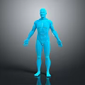 Detailed Blue Human Figure 3D Anatomy Model With Skeletal Lines And Reflective Surface