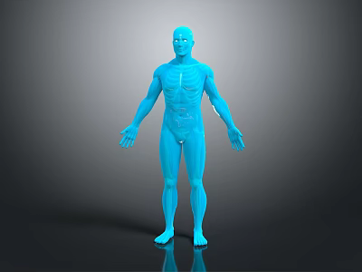 Detailed Blue Human Figure 3D Anatomy Model With Skeletal Lines And Reflective Surface 3d model