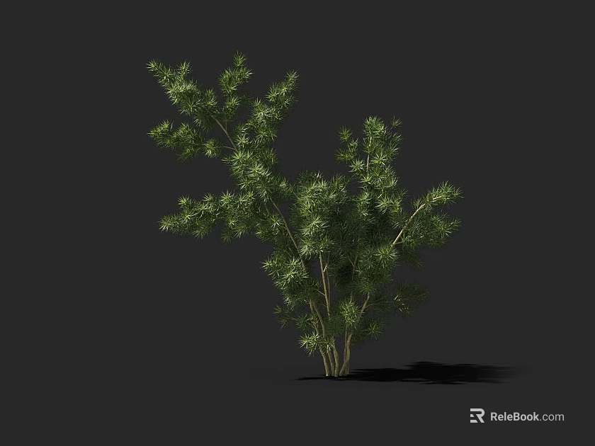 Green Leafy Plant With Multiple Branches And Natural Growth In Dark Background 3d model 
