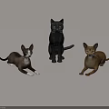 Three Cats Black Brown And Orange Standing And Lying On Light Background 3d model