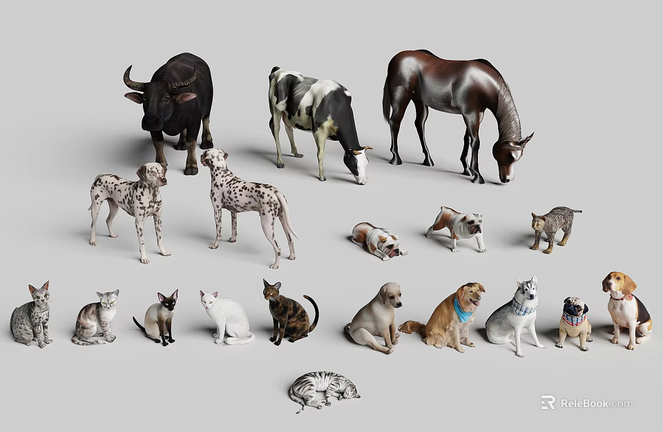 Different Reptile Animal Models Featuring Lizards Snakes And Turtles Display Collection 3d model 