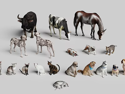 Different Reptile Animal Models Featuring Lizards Snakes And Turtles Display Collection 3d model