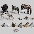 Different Reptile Animal Models Featuring Lizards Snakes And Turtles Display Collection