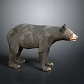 3D Bear Model Featuring Gray Brown Spotted Fur Standing Pose on Dark Background 3d model