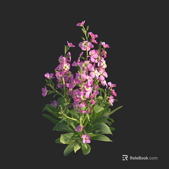 Colorful Pink Flowers With Fresh Green Leaves In Full Bloom 3d model 