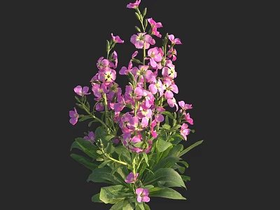 Colorful Pink Flowers With Fresh Green Leaves In Full Bloom 3d model