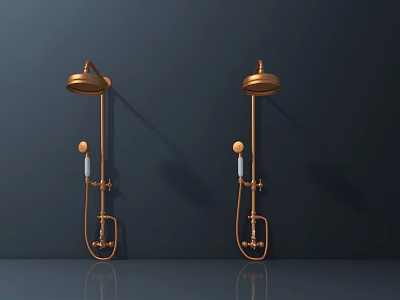 Brass Shower Fixtures Wall Mounted Double Units with Handheld Sprayers Modern Design 3d model