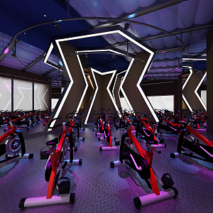 Modern Gym Fitness Dynamic Single 3d model