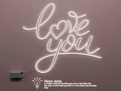 Creative Neon Light Combinations with Love You Design for Home Decoration 3d model