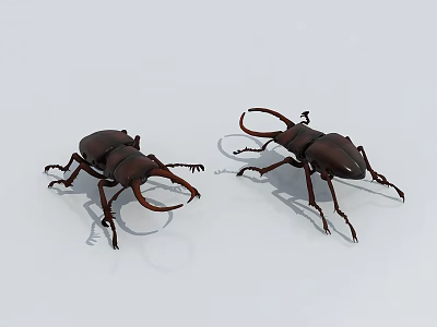 Two Brown Horned Reptiles With Large Antler Like Structures On White Background 3d model