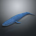 Realistic Blue Whale 3D Model on Gradient Gray to Black Background