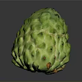 Fresh Green Sugar Apple Tropical Fruit With Textured Skin And Orange Spots