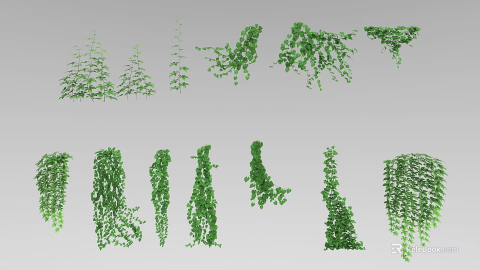 Vine Plants Featuring Various Growth Forms And Green Leaves As Decorative Design Elements 3d model 