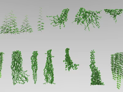 Vine Plants Featuring Various Growth Forms And Green Leaves As Decorative Design Elements 3d model