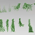 Vine Plants Featuring Various Growth Forms And Green Leaves As Decorative Design Elements 3d model