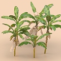 Banana Tree Plantain Tree Tree Landscape Tree Plant Tropical Tree Tropical Plant 3d model