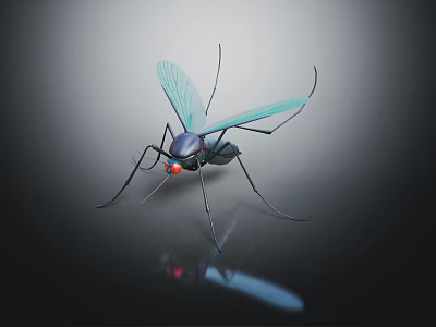 Realistic Mosquito With Green Wings Red Eyes And Black Body On Smooth Surface Reflection 3d model