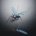 Realistic Mosquito With Green Wings Red Eyes And Black Body On Smooth Surface Reflection