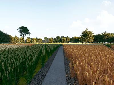 Beautiful Rural Scenery Featuring Green Golden Crops Pathway Trees and Blue Sky with White Clouds 3d model