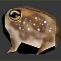 Low Poly Reptile 3D Model With Brown White Spots Large Eyes And Reflective Base 3d model