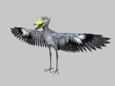 Flying Dodo Bird With Spread Wings Gray Feathers And Yellow Beak 3d model