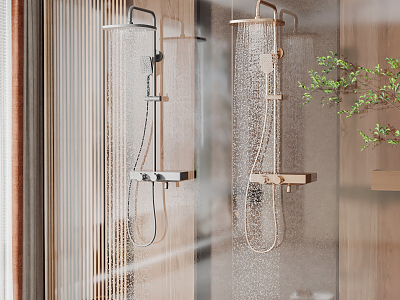 Modern Shower Bathroom Shower Combination model