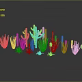 Various Cactus And Succulent Plants With Different Heights Shapes Gray Background