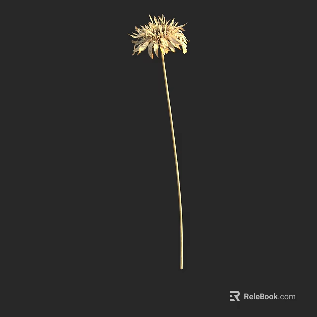 Elegant Single Light Colored Flower in Tall Vase Against Black Background 3d model