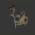 Purple Flowers With Green Leaves And White Stems On Dark Background With Reflection